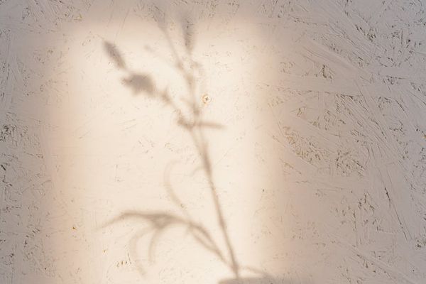 Soft abstract light patterns creating a feeling of peace and focus.